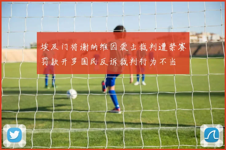 埃及门将谢纳维因袭击裁判遭禁赛罚款开罗国民反诉裁判行为不当